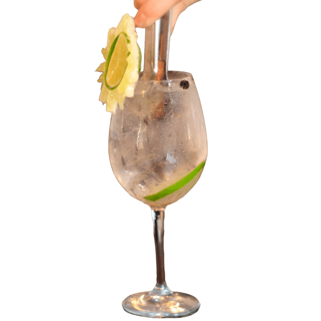 Gin Tônica com Canela