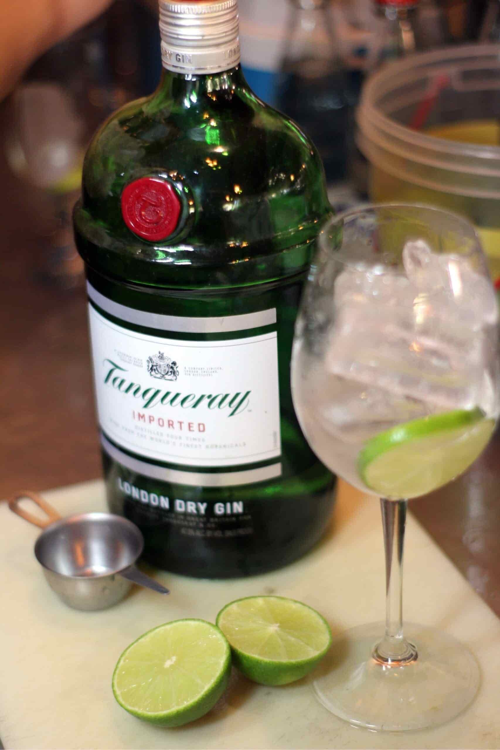 Gin tônica